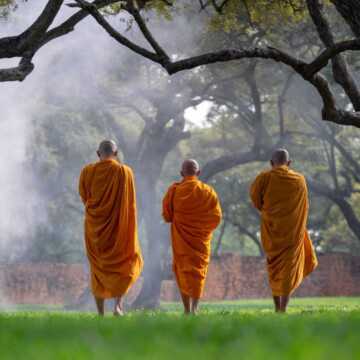 Three,monks,walking,in,the,park,,thai,monk,meditating,under